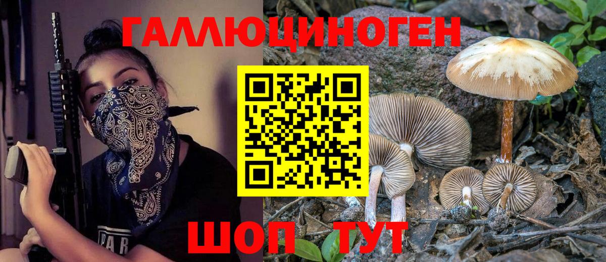 Псилоцибиновые грибы ЛСД Ртищево