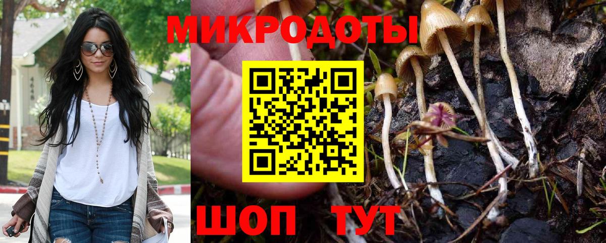Ртищево  Галлюциногенные грибы мицелий  Вход с VPN 